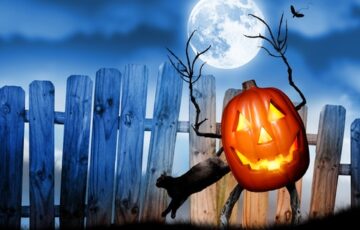 デイトレーダー